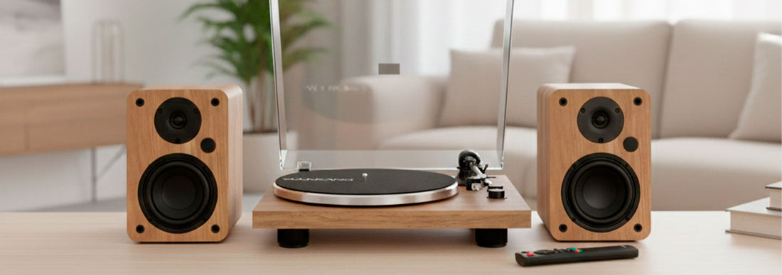 Cómo cuidar tu tocadiscos y proteger tu colección de vinilos